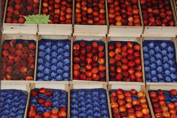 Perziken en nectarines — Stockfoto