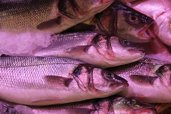 Peixes frescos num mercado de peixe — Fotografia de Stock