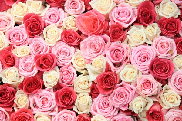 Bílé a růžové růže v uspořádání — Stock fotografie