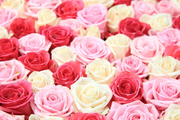 Bílé a růžové růže v uspořádání — Stock fotografie