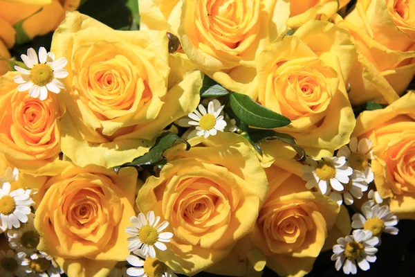 Κίτρινα τριαντάφυλλα και matricaria στο φως του ήλιου — Φωτογραφία Αρχείου