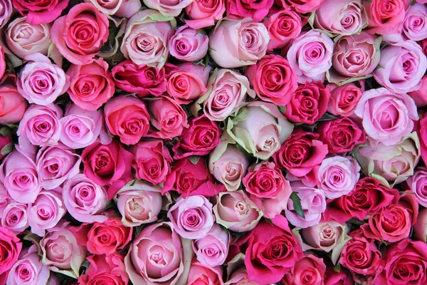 粉红色婚礼玫瑰 — 图库照片