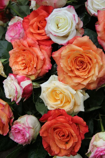 Wielobarwny bukiet róż — Zdjęcie stockowe