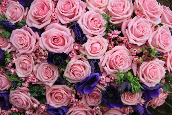 在一个组中的粉红玫瑰 — 图库照片