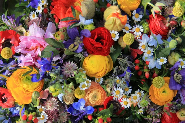 Wildblumen-Arrangement in leuchtenden Farben — Stockfoto