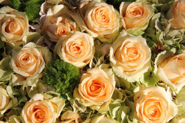 Soluk pembe gelin çiçekleri