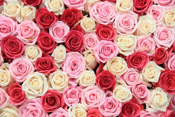 Weiße und rosa Rosen im Arrangement — Stockfoto