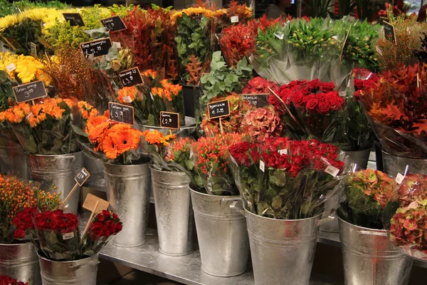 在一家花店各种鲜花 — 图库照片