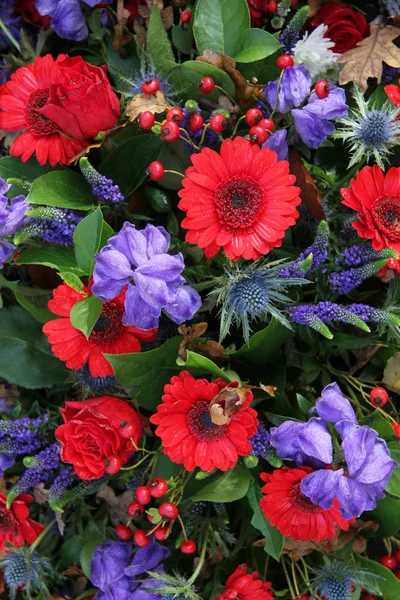 Arreglo floral en rojo y azul —  Fotos de Stock