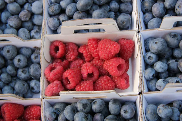 Blueberry dan raspberry — Stok Foto