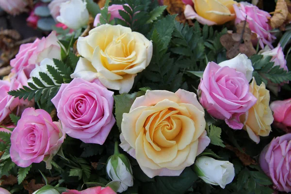 Žluté a růžové růže — Stock fotografie