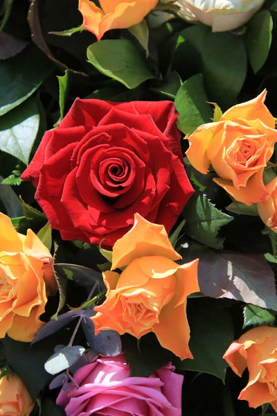 Mixed roses in yellow, red and orange — Stock Photo, Image