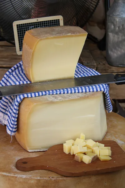 Сир на французький ринок — стокове фото