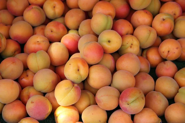 Apricots — Stock Photo, Image