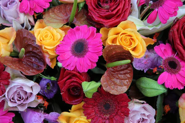 밝은 colcors 혼합된 꽃다발 — 스톡 사진