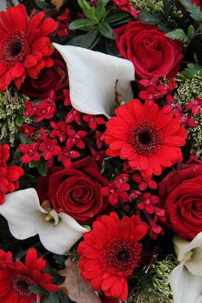 Blumenschmuck in rot und weiß — Stockfoto