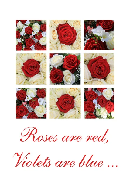 Biało -czerwone róże Walentynki — Zdjęcie stockowe