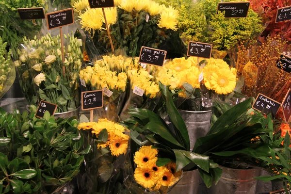 Olika blommor i en blomsteraffär — Stockfoto