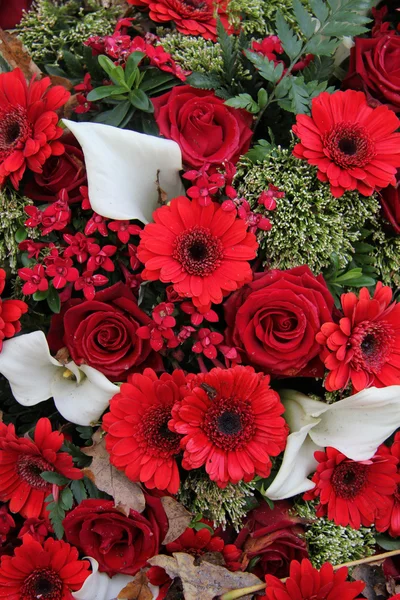 Blomsterarrangemang i rött och vitt — Stockfoto