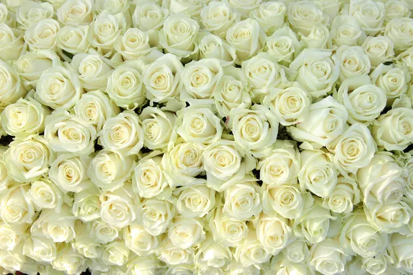 Grupa białych róż, ślubne dekoracje — Zdjęcie stockowe