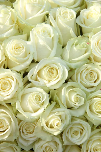 Group of white roses, wedding decorations — Stock Photo, Image