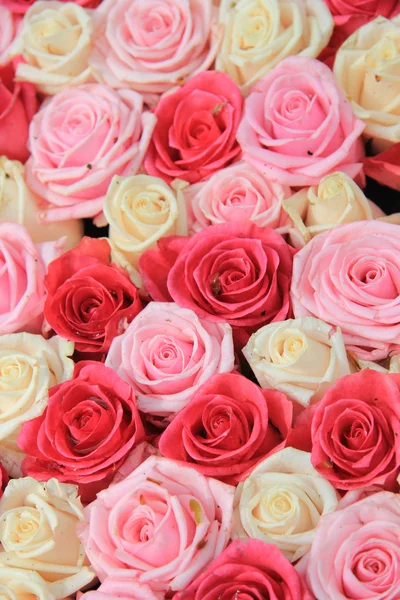Vita och rosa rosor i arrangemang — Stockfoto