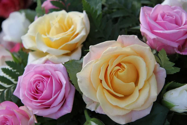 Žluté a růžové růže — Stock fotografie