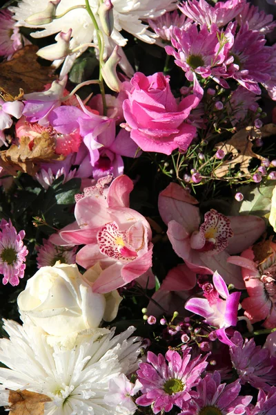 Orquídeas y rosas — Foto de Stock