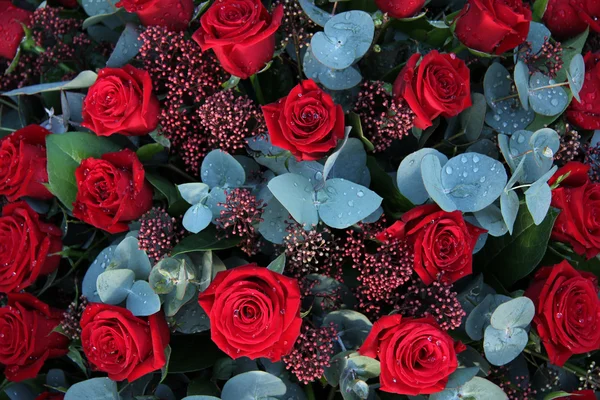 湿的红玫瑰 — 图库照片