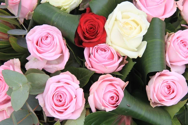 Rosas rojas, blancas y rosas — Foto de Stock