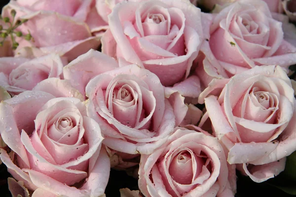 Brautstrauß aus nächster Nähe: rosa Rosen — Stockfoto