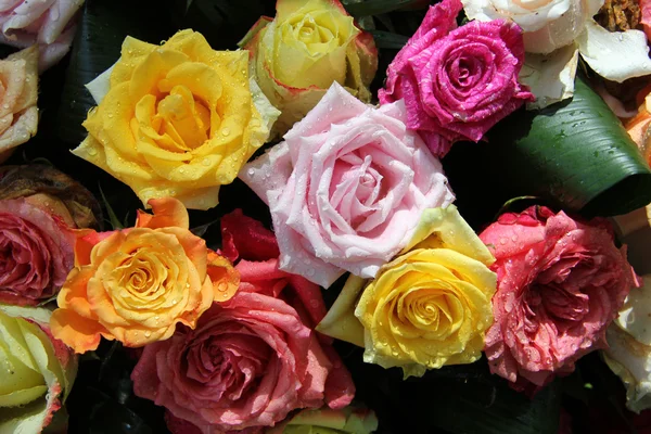 Multicolored rose bouquet — Stock Photo, Image