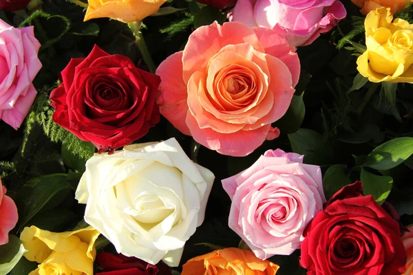 Multicolored roses in flower arrangement — Stock Photo, Image