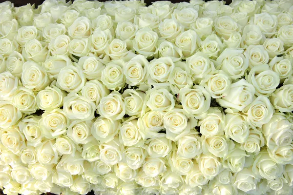 Group of white roses, wedding decorations — Stock Photo, Image