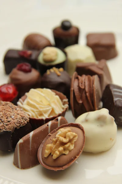 Belgium Pralines — Stock Photo, Image