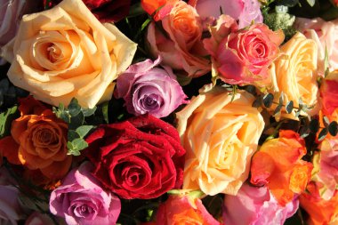renkli gül buketi