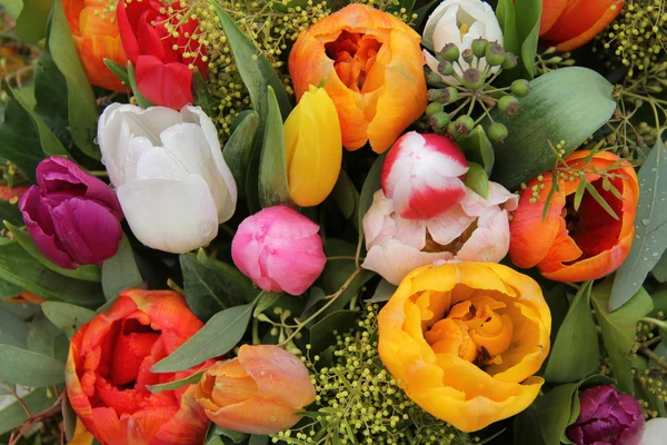 Mixed tulip arrangement — Stock Photo, Image