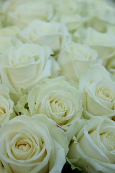 Grupo de rosas brancas, decorações de casamento — Fotografia de Stock