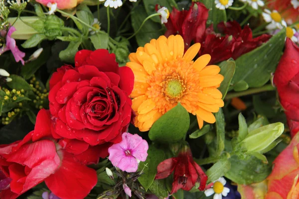 Blomsterarrangemang i ljusa färger — Stockfoto