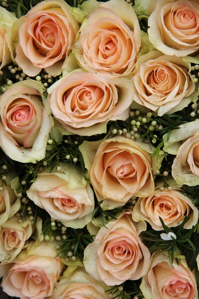 Rosas de boda rosa pálido — Foto de Stock