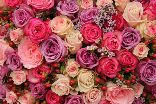 фиолетовые и розовые розы свадьбы
