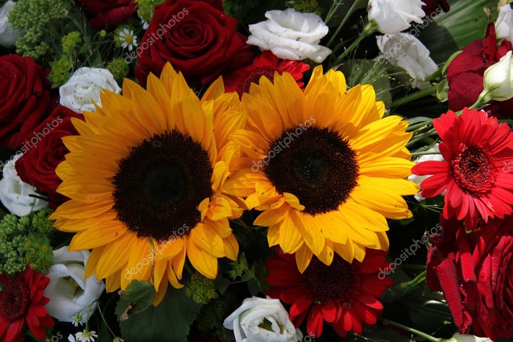 Sunflowers and roses — Stock Photo © portosabbia 21258305