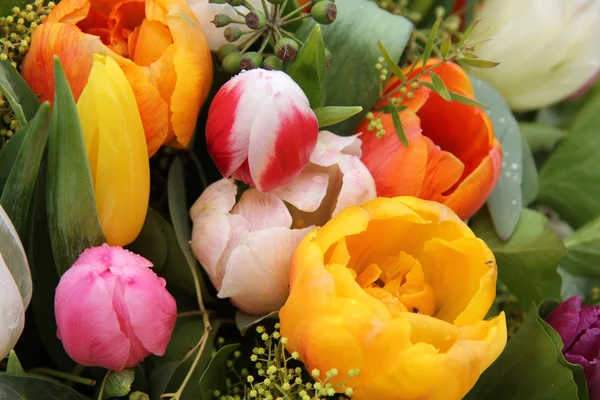 Mixed tulip arrangement — Stock Photo, Image