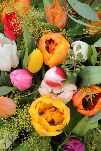 Arreglo mixto de tulipán — Foto de Stock