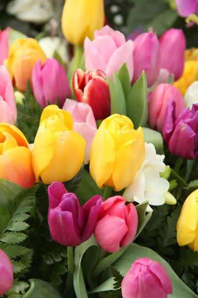 Gemischter Tulpenstrauß — Stockfoto