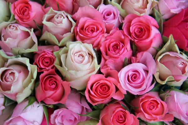 Rosas de casamento rosa — Fotografia de Stock