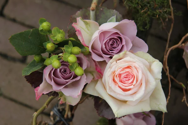 Rosas grandes de color rosa y púrpura —  Fotos de Stock