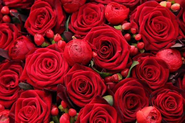 Ranúnculo, bayas y rosas en un grupo — Foto de Stock