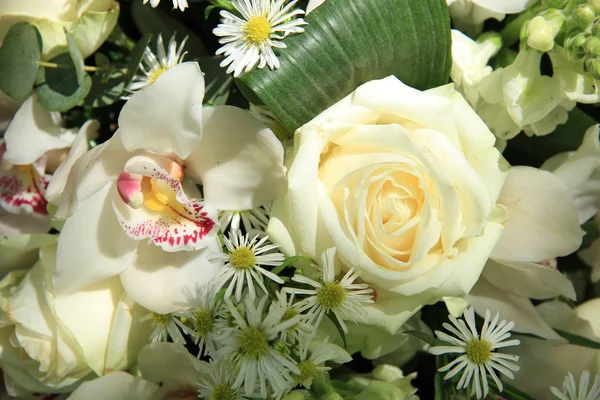 Orchideák és a menyasszonyi csokor Rózsa — Stock Fotó
