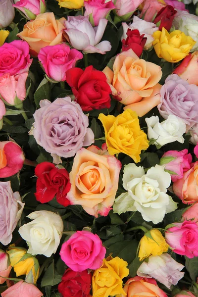 Змішаному букеті троянд — стокове фото